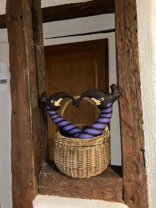 La Sorciere In A Typical Alsatian House Apartment Rouffach Luaran gambar