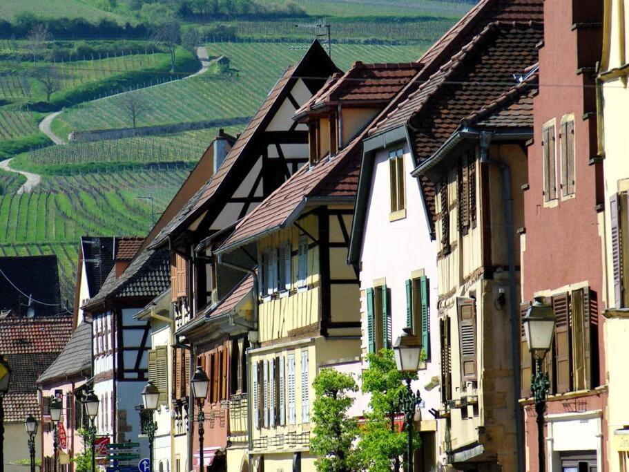 La Sorciere In A Typical Alsatian House Apartment Rouffach Luaran gambar