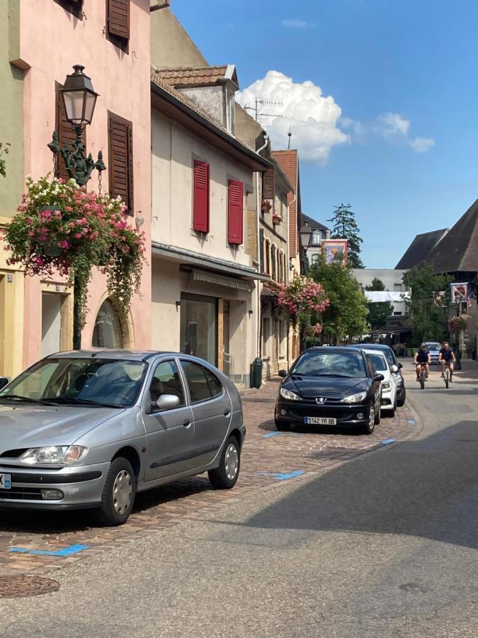 La Sorciere In A Typical Alsatian House Apartment Rouffach Luaran gambar