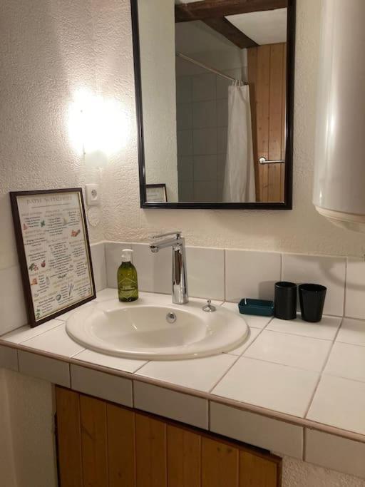La Sorciere In A Typical Alsatian House Apartment Rouffach Luaran gambar